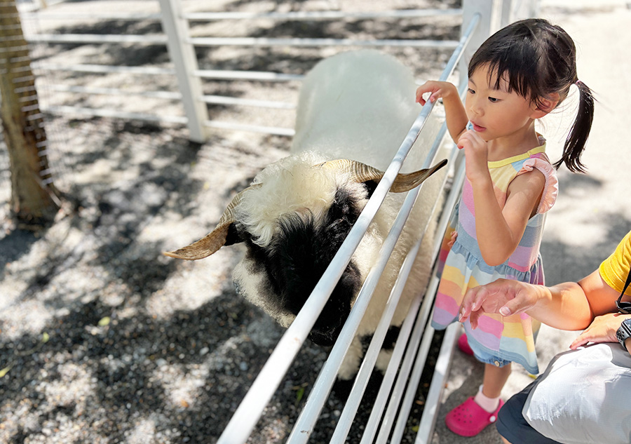 【宜蘭親子飯店推薦】綠舞觀光飯店團購開跑！動物互動+免費早餐宵夜+泡湯池與浴衣體驗