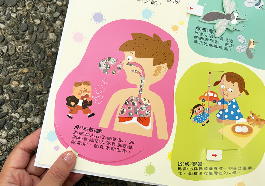 【3-8歲幼兒繪本推薦】超驚豔的立體書&透視書，帶給孩子健康知識和二十四節氣時序之美！ 